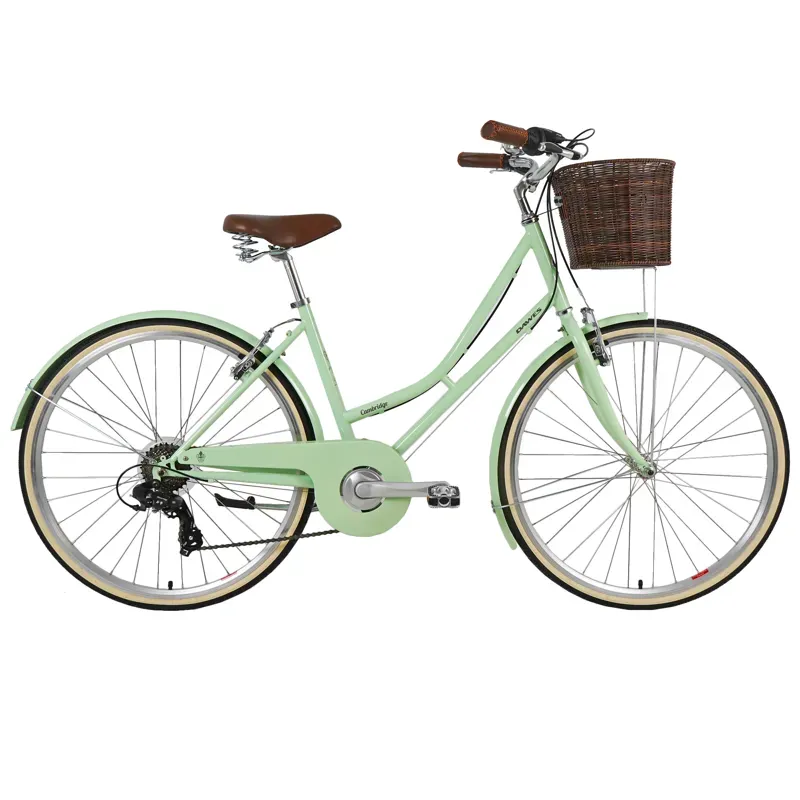 Dawes Cambridge Womens Heritage City Bike- Mint