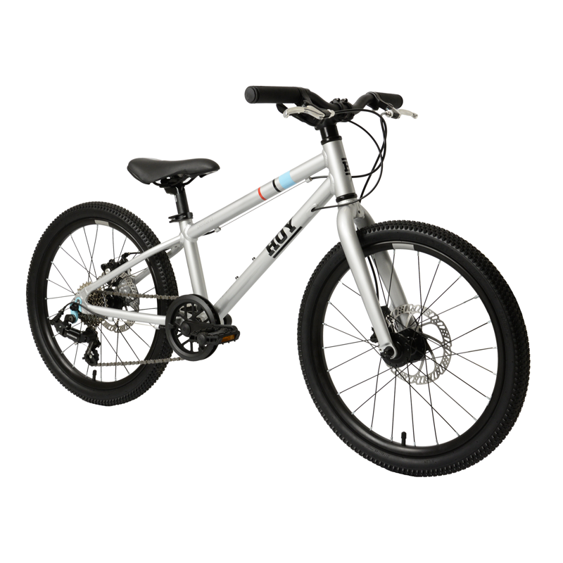 Hoy Pentland 20inch Kids Hybrid Bike in Titanium Silver-1