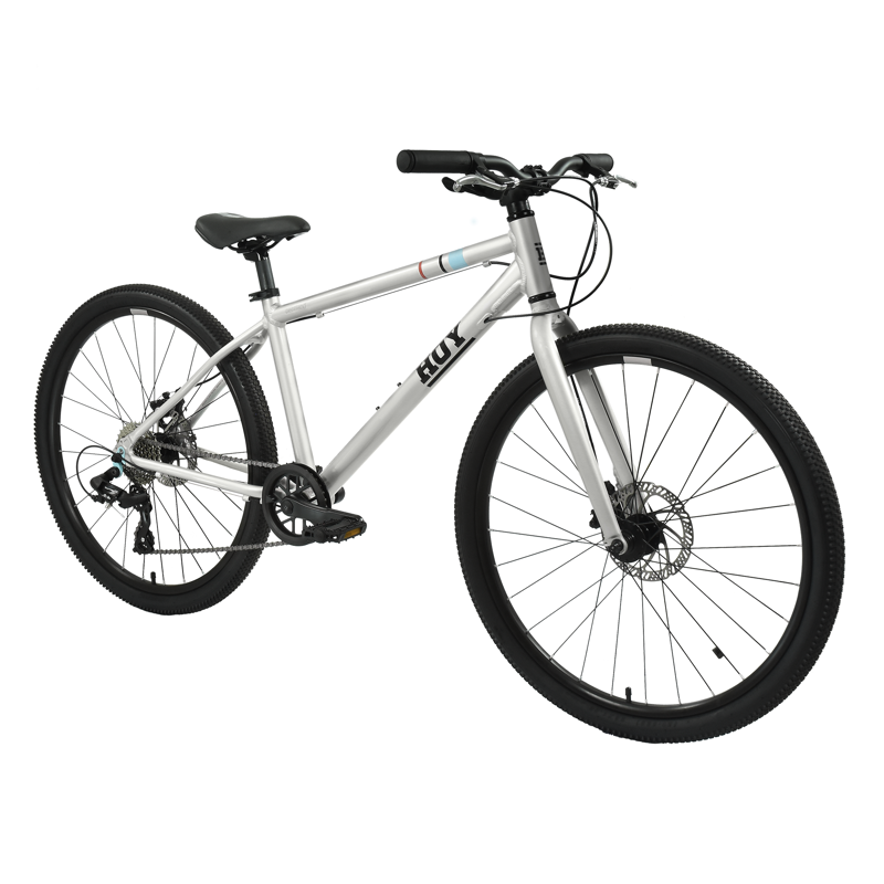 Hoy Pentland 26inch Kids Hybrid Bike in Titanium Silver-1