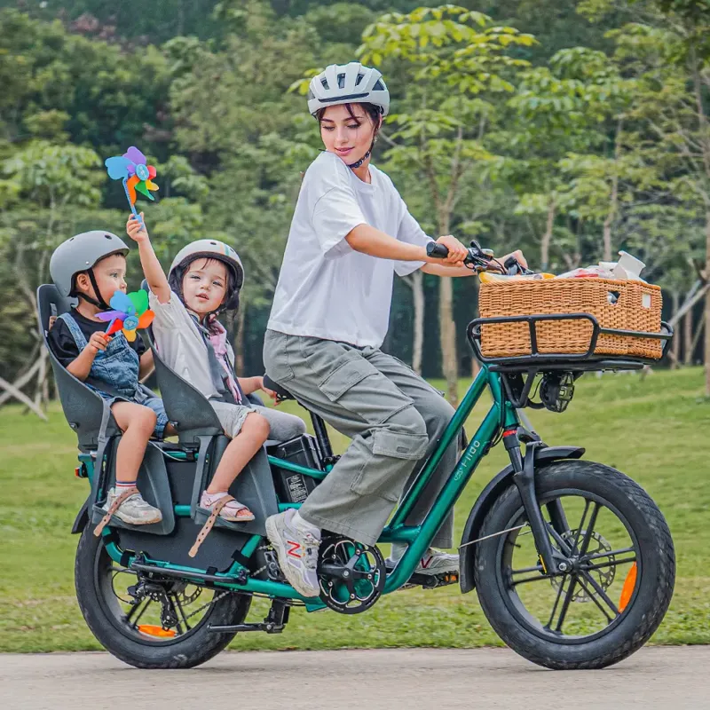 Fiido T2 Electric Cargo Bike-6