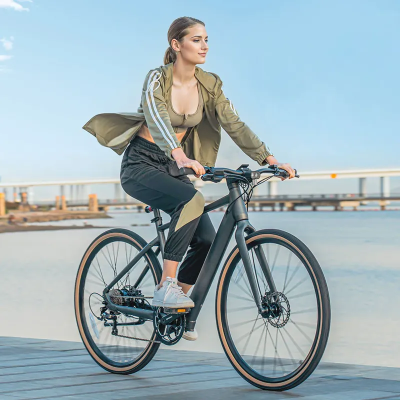 Fiido C21 Gravel City Electric Bike-6