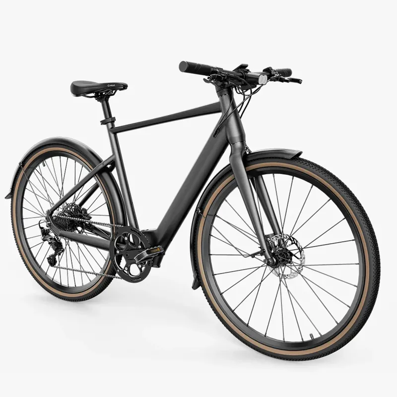 Fiido C21 Gravel City Electric Bike-1