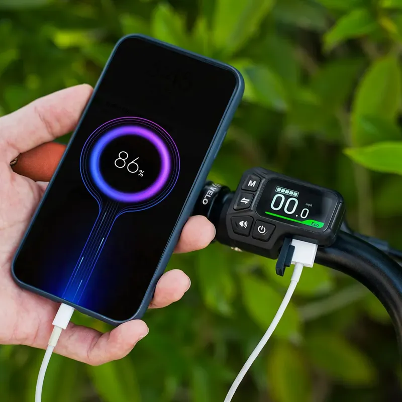 Fiido C11 Pro City Electric Bike-4