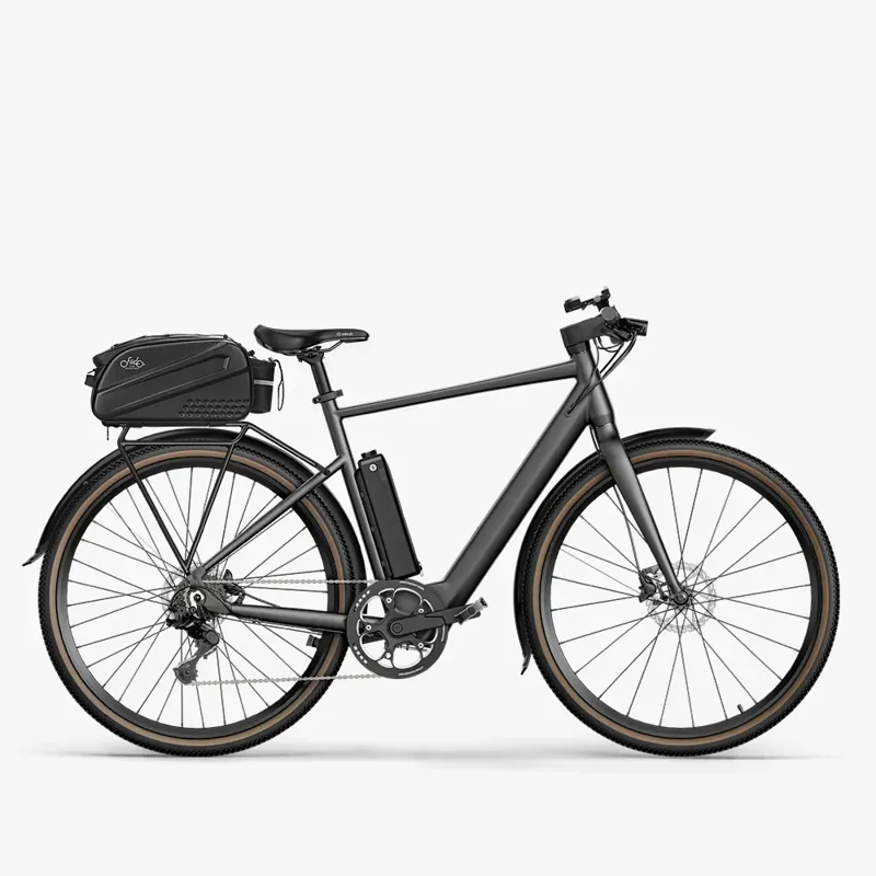 Fiido C21 Gravel City Electric Bike-3