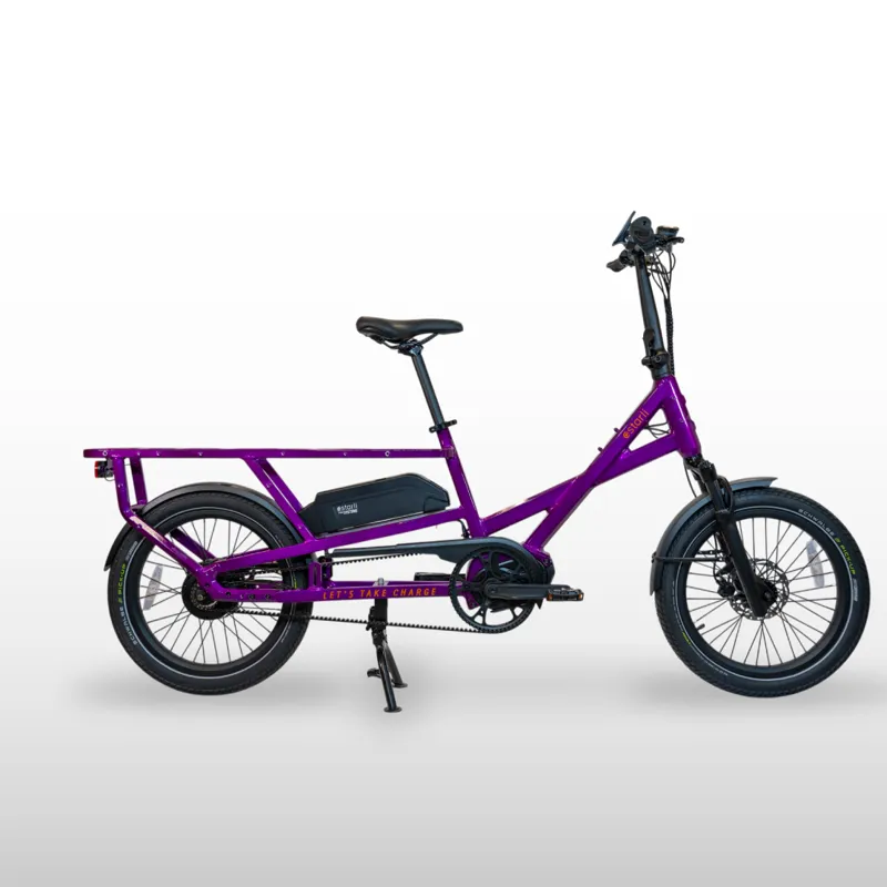 Estarli L20 2.0 Longtail 600Wh Electric Cargo Bike - Standard Base-3