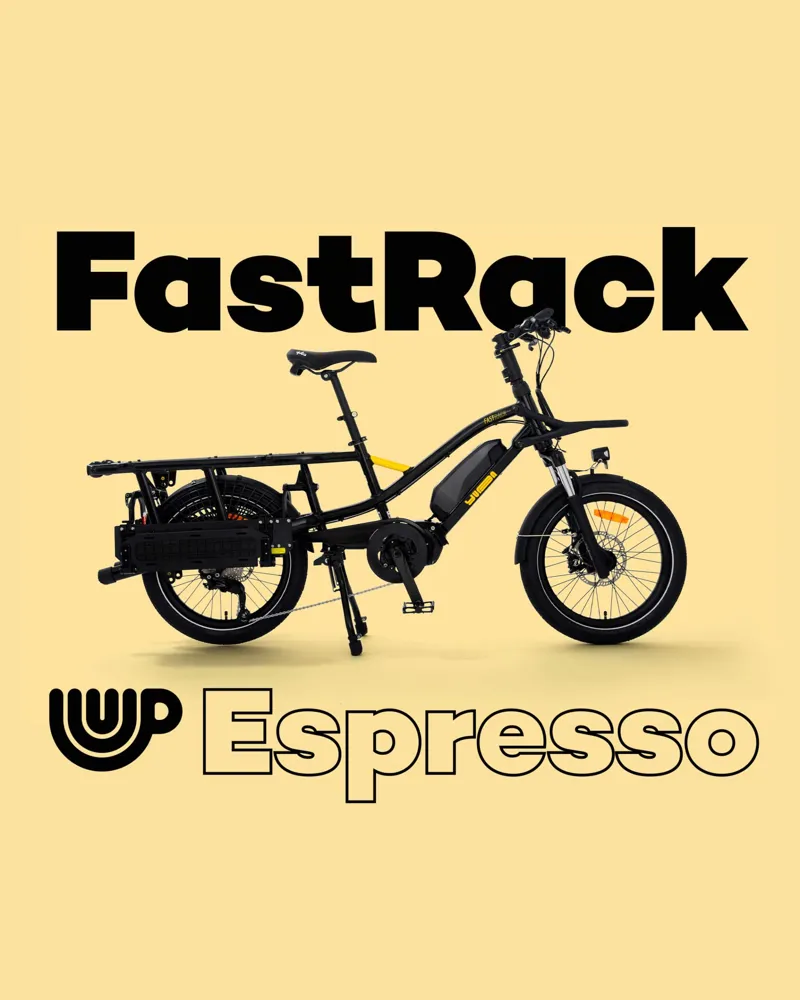 Yuba Fastrack Family Electric Cargo Bike-5