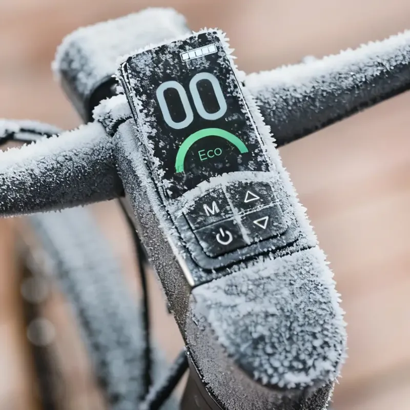 Fiido C21 Gravel City Electric Bike-7