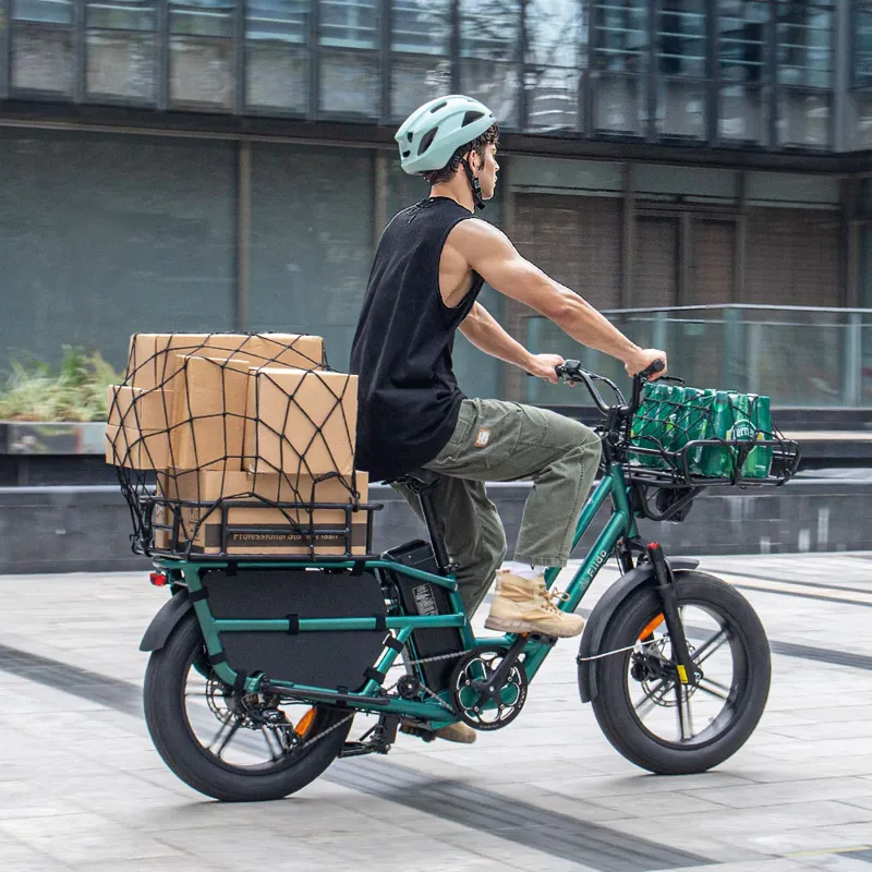 Fiido T2 Electric Cargo Bike-10