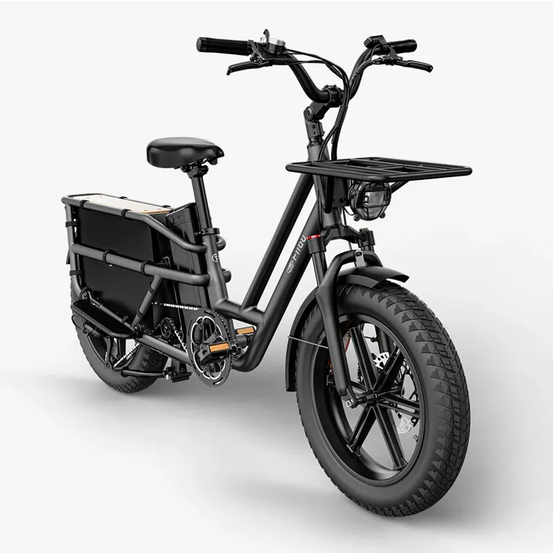 Fiido T2 Electric Cargo Bike-3