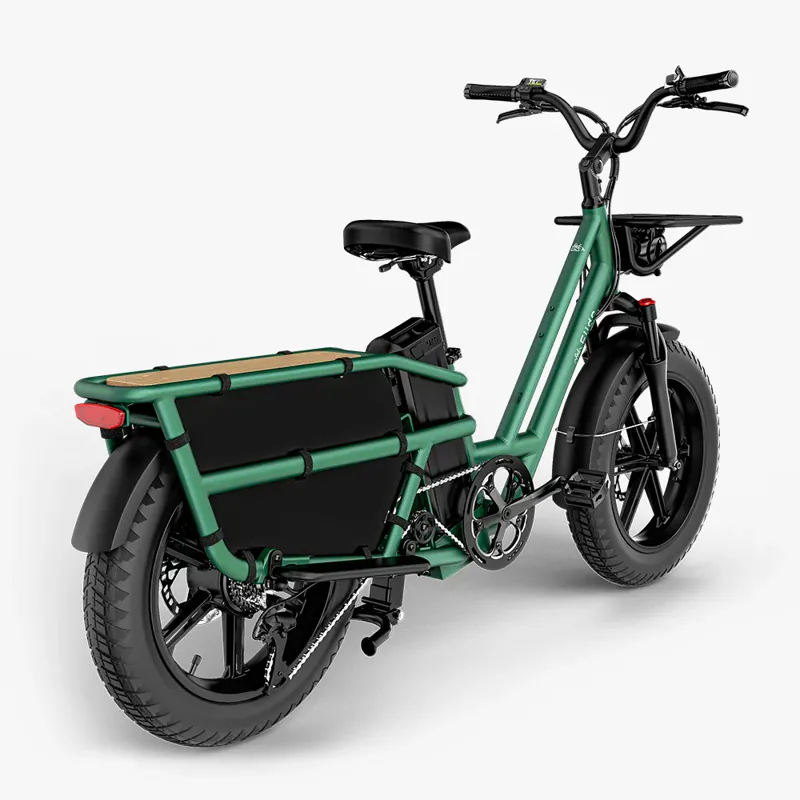 Fiido T2 Electric Cargo Bike-4