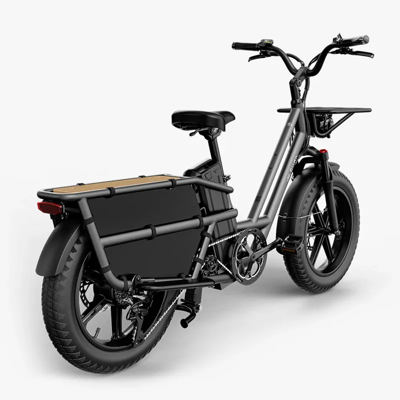 Fiido T2 Electric Cargo Bike-5